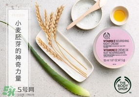 the body shop維e晚霜怎么用？美體小鋪維e晚霜使用方法