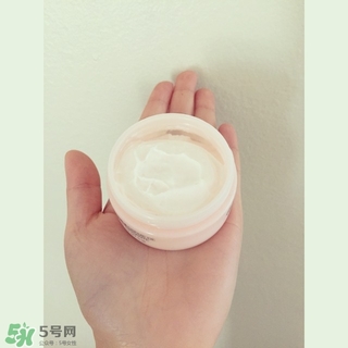 the body shop維e晚霜怎么用？美體小鋪維e晚霜使用方法