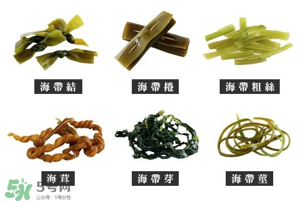 海帶上的白霜是什么？海帶上面有白色的東西那是什么
