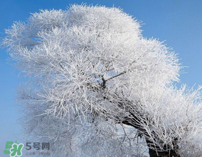 2017年第一場(chǎng)雪什么時(shí)候？2017年什么時(shí)候下雪？