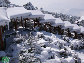 2017年第一場(chǎng)雪什么時(shí)候？2017年什么時(shí)候下雪？