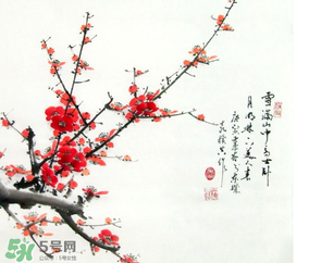 數(shù)九天什么時候最冷？數(shù)九天幾九最冷？