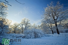 2017年過年天氣怎么樣？2017過年會(huì)下雨嗎？