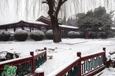 2017年過年會下雪嗎？2017年過年天氣情況
