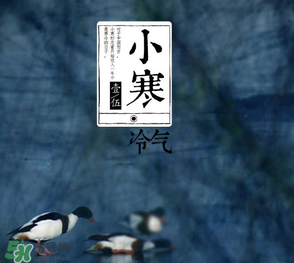 小寒和大寒哪個冷？小寒大寒什么意思？