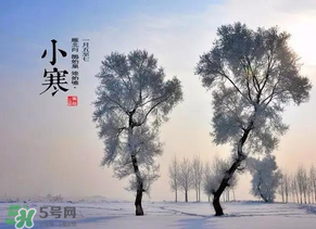 小寒和大寒哪個冷？小寒大寒什么意思？