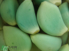 臘八醋里的蒜能吃嗎？臘八醋里的蒜好吃嗎？