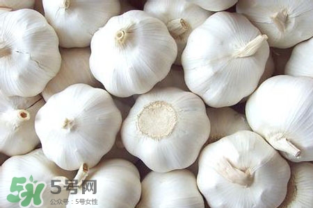 2017過年大蒜會漲價嗎？2017年春節(jié)大蒜價格預(yù)測
