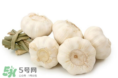 2017過年大蒜會漲價嗎？2017年春節(jié)大蒜價格預(yù)測
