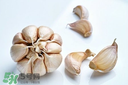 2017過年大蒜會漲價嗎？2017年春節(jié)大蒜價格預(yù)測