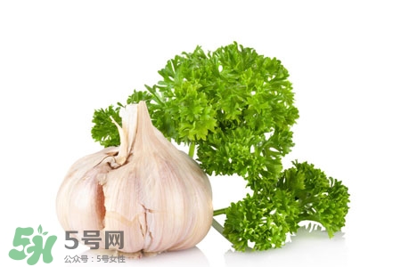 2017過年大蒜會漲價嗎？2017年春節(jié)大蒜價格預(yù)測