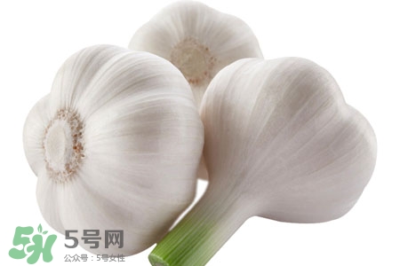 2017過年大蒜會漲價嗎？2017年春節(jié)大蒜價格預(yù)測