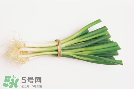 2017過年大蔥會漲價嗎？2017年春節(jié)大蔥價格預(yù)測