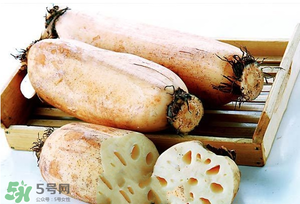 蓮藕多少錢一斤？蓮藕多少錢一斤2017？