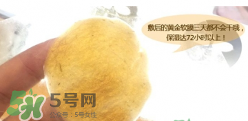 shangpree香蒲麗黃金面膜怎么樣？好用嗎？