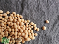 對(duì)心臟有益的食物有哪些？對(duì)心臟有好處的食物大全