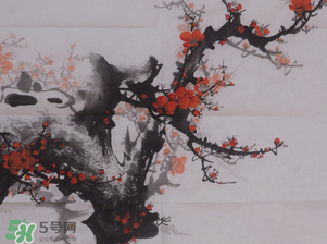 梅花可以放臥室嗎？梅花放在臥室風(fēng)水好嗎？