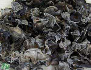 干木耳泡多久可以吃？干木耳泡了兩天還能吃嗎？