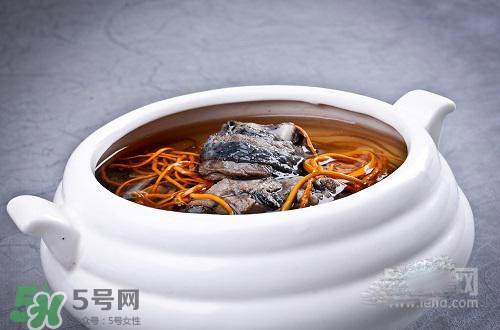 蟲草花怎么吃？蟲草花的吃法用量