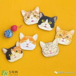 felissimo貓爪化妝棉多少錢？felissimo貓爪化妝棉哪里買？