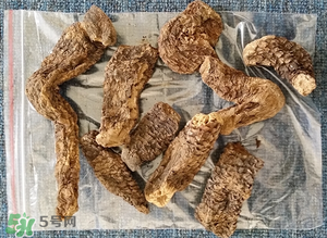 野生肉蓯蓉多少錢一斤？肉蓯蓉價(jià)格一斤多少錢？