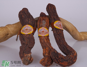 鎖陽和肉蓯蓉一起泡酒可以嗎？肉蓯蓉和鎖陽的區(qū)別
