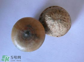 風流果多少錢一斤？風流果的價格