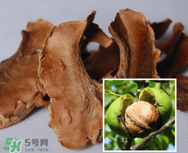 核桃分心木能長(zhǎng)期喝嗎？核桃分心木一天喝幾次？