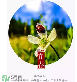 立春可以出門嗎？立春為什么不能出門？