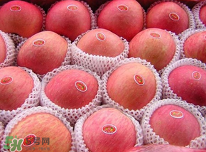 阿克蘇蘋果脆嗎？阿克蘇蘋果是粉蘋果還是脆蘋果？