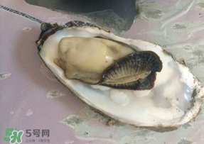 生蠔多少錢(qián)一斤？生蠔一斤有幾個(gè)？