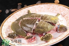 有乙肝可以吃甲魚嗎？乙肝患者禁吃甲魚