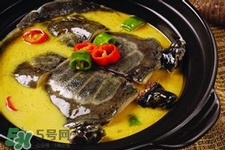 有乙肝可以吃甲魚嗎？乙肝患者禁吃甲魚