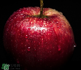 蘋果放在水里是沉還是??？蘋果的密度是多少？