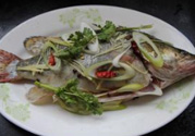 桂魚蒸多長時(shí)間？桂魚水開后蒸多長時(shí)間？