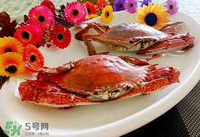 臘月吃什么蟹？臘月吃公蟹還是母蟹？