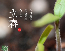 立春吃什么蔬菜？立春時令蔬菜推薦