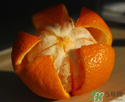 橙子里面為什么有蟲(chóng)子？橙子里面有蛆蟲(chóng)的原因
