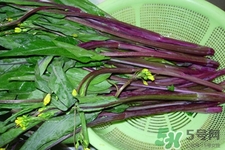 紅菜苔怎么挑選？如何挑選紅菜苔？