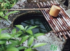 井華水是什么？井華水的含義