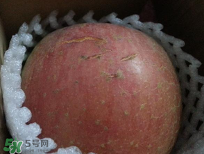 蘋果裂紋能吃嗎？蘋果裂紋是怎么回事？