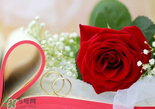 情人節(jié)送什么顏色的玫瑰花好？情人節(jié)送幾朵玫瑰花好？