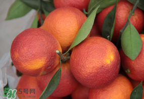 血橙多少錢一斤？四川血橙多少錢一斤？