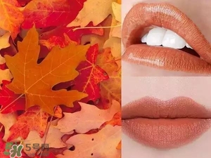 楓葉棕口紅什么牌子好？楓葉棕口紅推薦