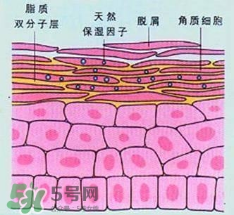 敷面膜真的有效嗎？敷面膜真的有用嗎？