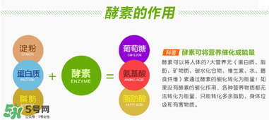 喝酵素拉肚子正常嗎？喝酵素拉肚子的原因