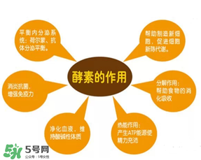 喝酵素拉肚子正常嗎？喝酵素拉肚子的原因