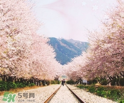 3月份去韓國穿什么？三月份去韓國穿什么衣服？