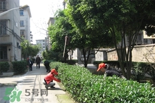 春天養(yǎng)生湯有哪些？春季養(yǎng)生喝什么湯好？