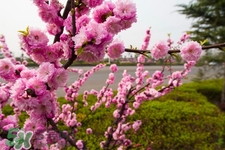 春天養(yǎng)生湯有哪些？春季養(yǎng)生喝什么湯好？